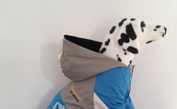 Casacos impermeáveis para Cão ou Gato