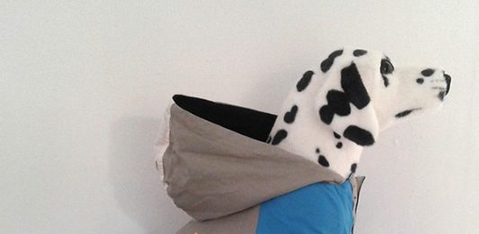 Casacos impermeáveis para Cão ou Gato