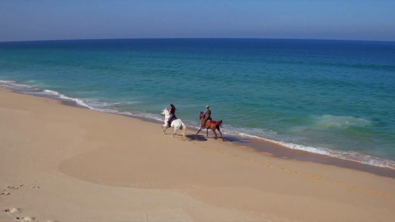 Cavalos na Praia – Escapadinha