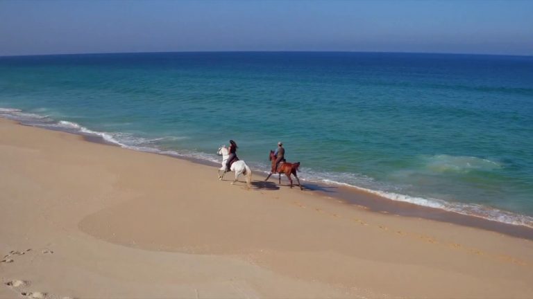 Cavalos na Praia – Escapadinha Cavalos na Praia – Escapadinha