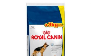 Royal Canin – 3Kg de Oferta