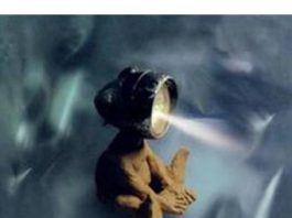 O Monstro Precisa de Amigos